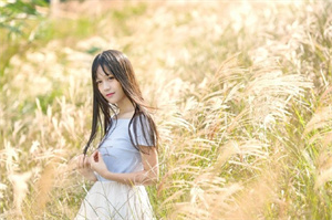 Shanghai's back garden: Four seasons of brilliance, making you linger forever! Shanghai's back garden: Four seasons of brilliance, making you linger forever!